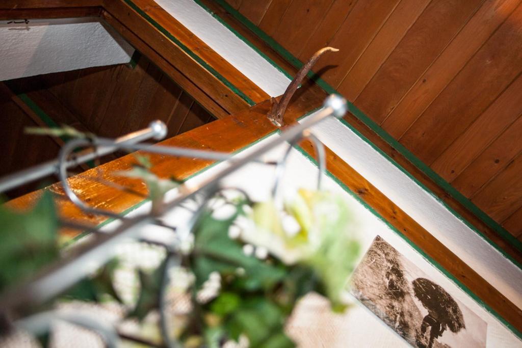 Chalet Appartement Alpenherz ซาลบาคฮินเทอร์เกลมม์ ห้อง รูปภาพ
