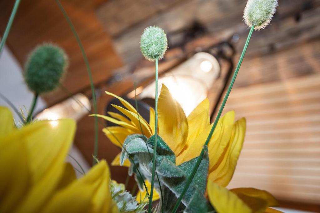 Chalet Appartement Alpenherz ซาลบาคฮินเทอร์เกลมม์ ห้อง รูปภาพ